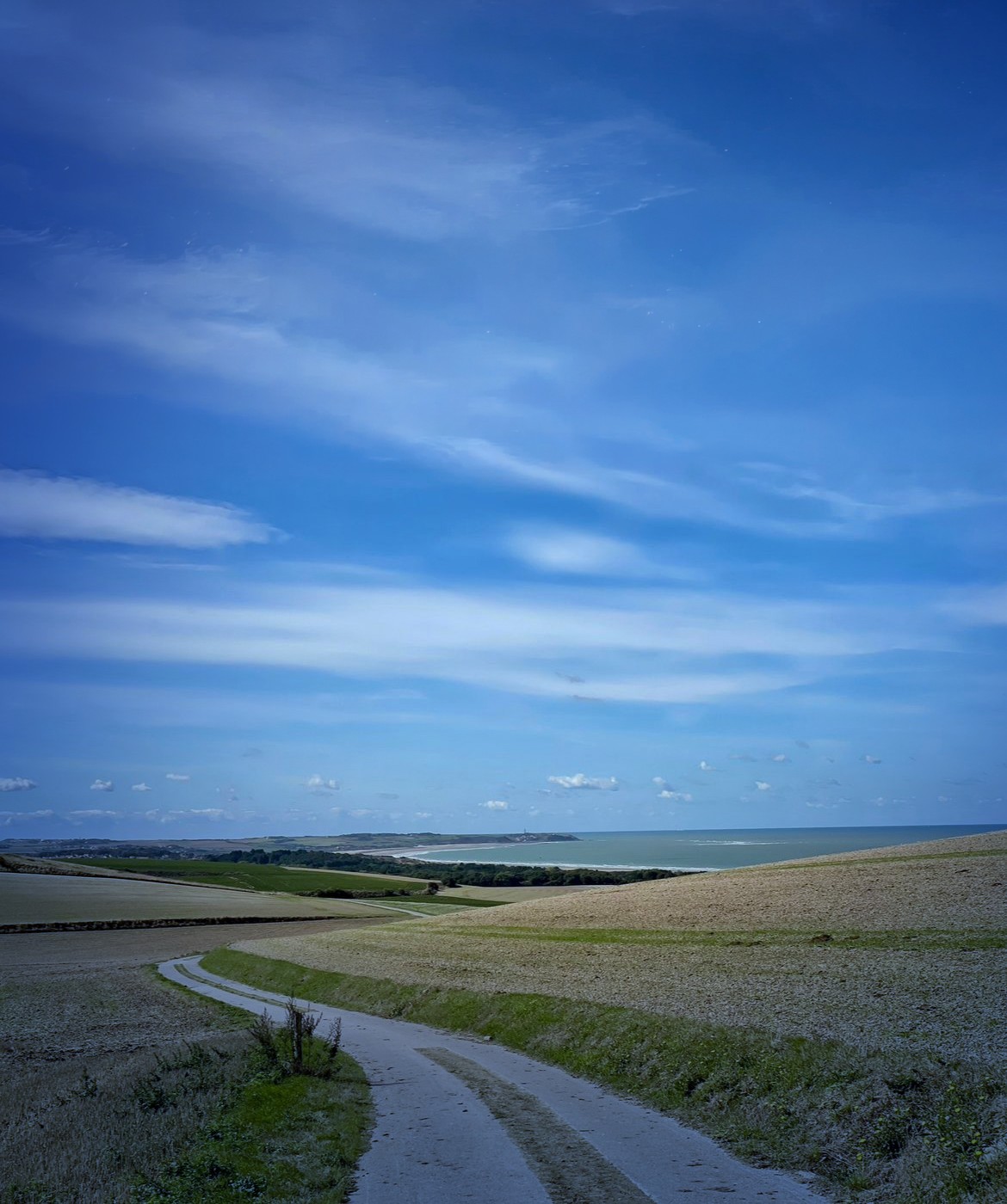 Route côtière entre les champs et la Manche, à Wissant